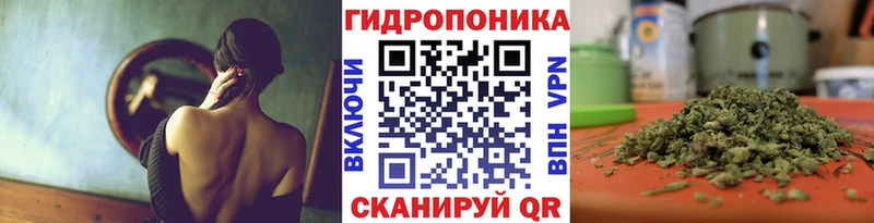 Купить наркотик аптеки Новый Уренгой Галлюциногенные грибы  АМФЕТАМИН  ГАШ  МЕТАМФЕТАМИН  Марихуана 