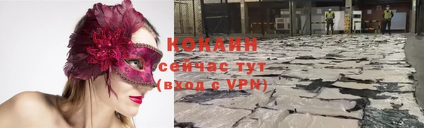 амф Алзамай