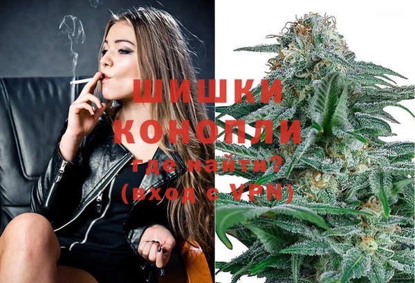 амф Алзамай