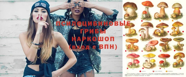 марки nbome Арсеньев
