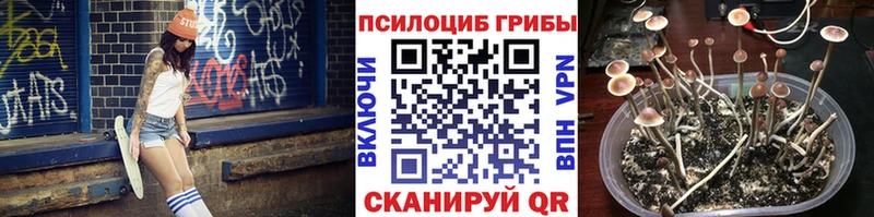 MEGA ссылки  Новый Уренгой  Галлюциногенные грибы Cubensis 